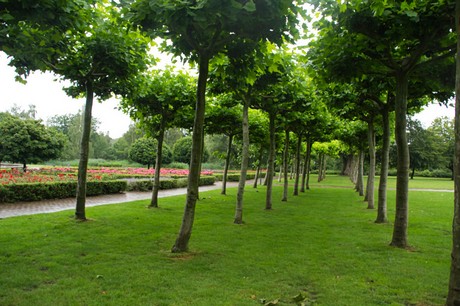 Bad Bentheim
